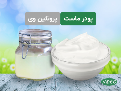 پودر ماست و پروتئین وی