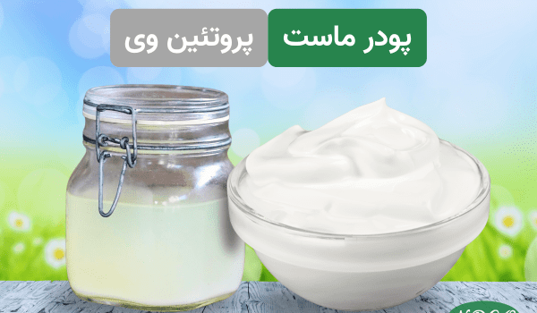 پودر ماست و پروتئین وی
